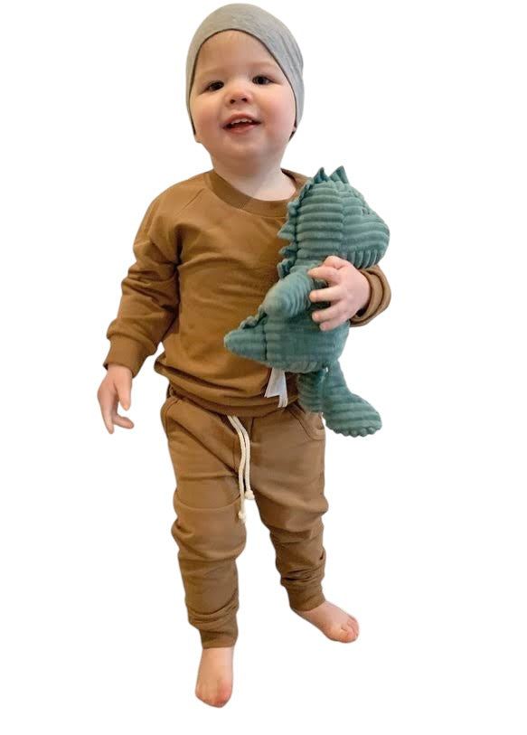 Ensemble Jogging En Coton Bio Terre Cuite